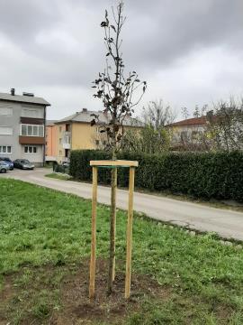 SLIKA 4